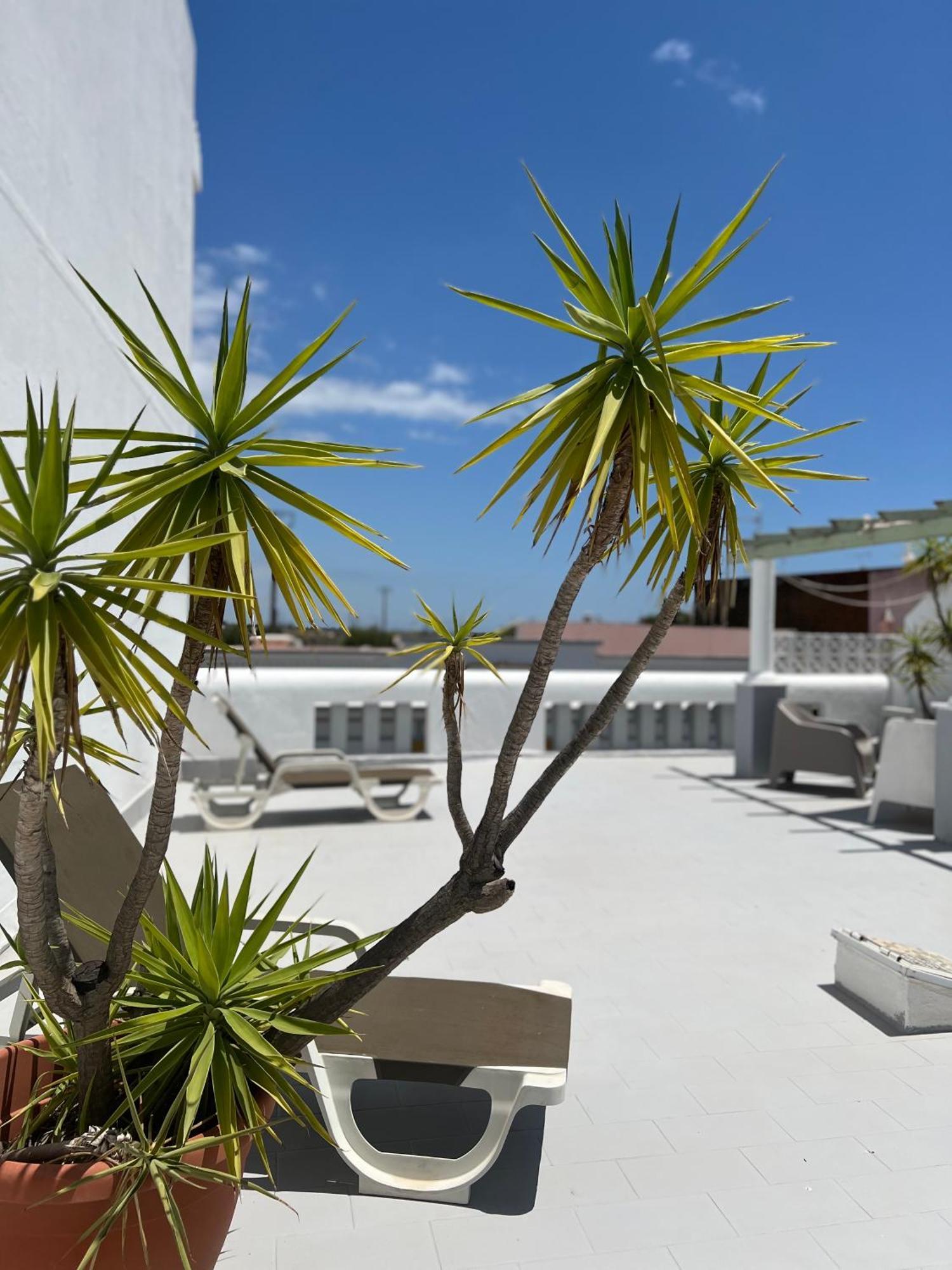 Vila Do Sol Fuzeta Exterior photo